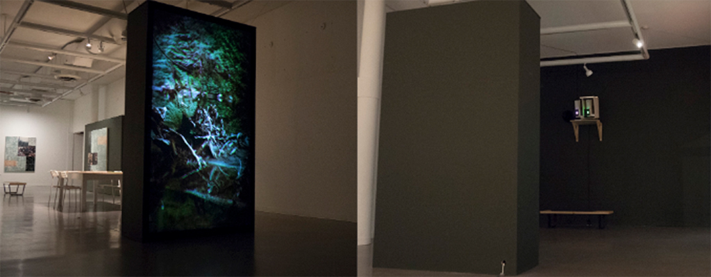 forest! Image of installation view