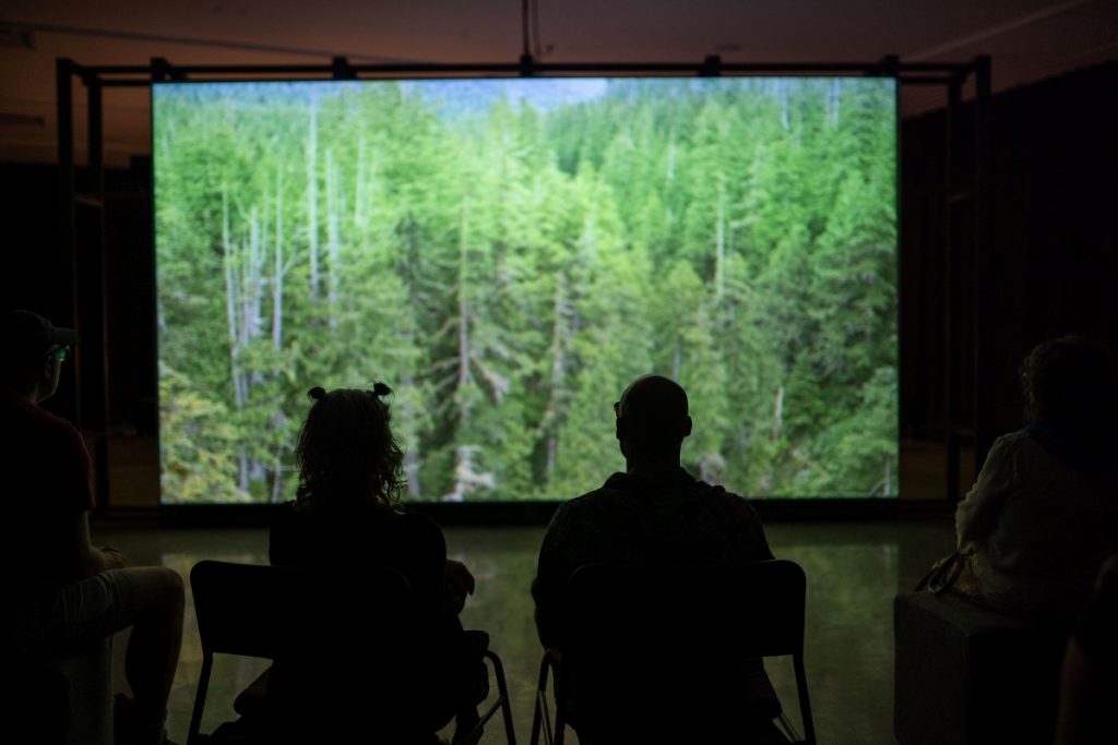 Silhouettes of viewers watching video projection.