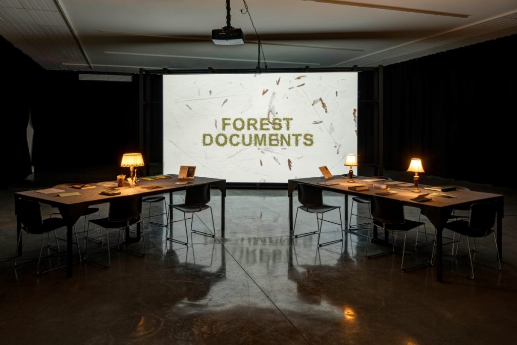 Installation view of Reading Room lit by large scale video projection